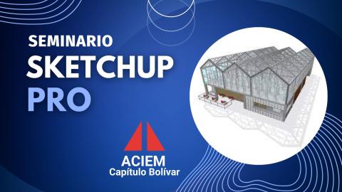 Sketchup Pro